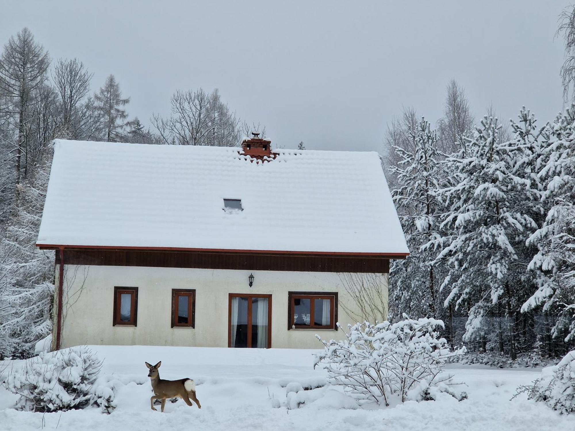 Dom Na Pstraznicy Kudowa-Zdrój Exterior foto